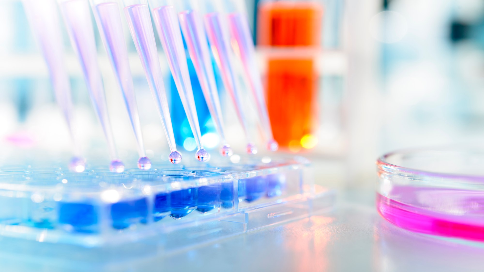 A lab scene with test tubes and a glass vial, representing biotechnology's role in enhancing quality in beauty products