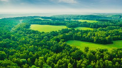 Aerial view showcasing a lush green forest surrounded by vibrant green fields under a clear blue sky.