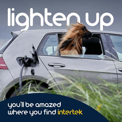 Dog with long hair blowing in the wind as it sticks its head out the window of an electrical vehicle being charged