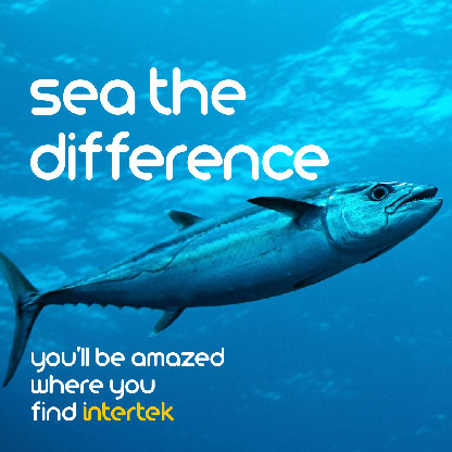 A fish swimming in the ocean